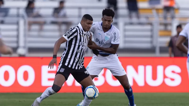 Avaí x Ponte Preta pela última rodada da série B