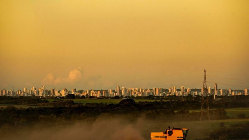Exportações do agronegócio batem recorde em outubro