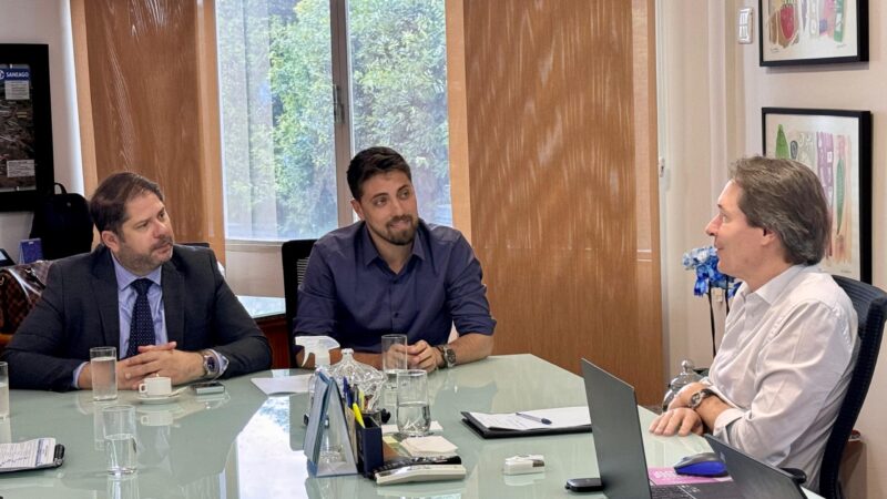 PODER EXECUTIVO SE REÚNE COM REPRESENTANTES DA SANEAGO PARA TRATAR DEMANDAS
