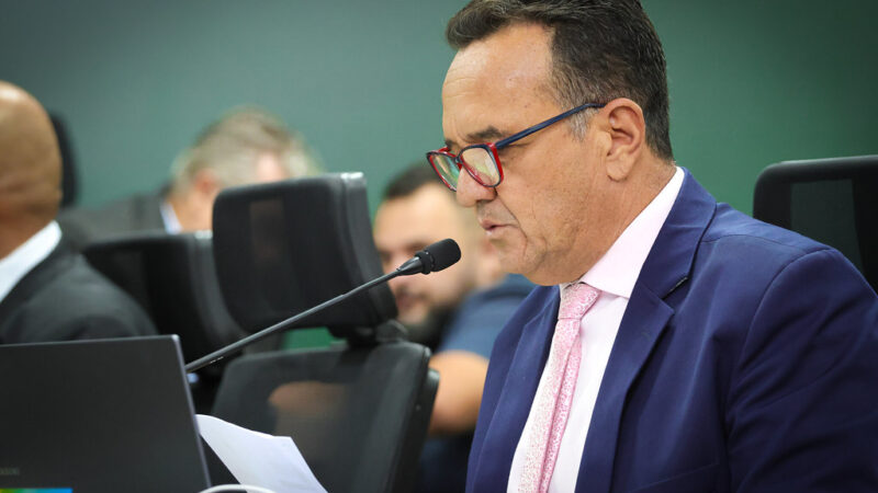 PROJETO DE LEI PROPÕE RESERVA DE VAGAS PARA MÃES DE CRIANÇAS COM TEA EM CONTRATOS PÚBLICOS