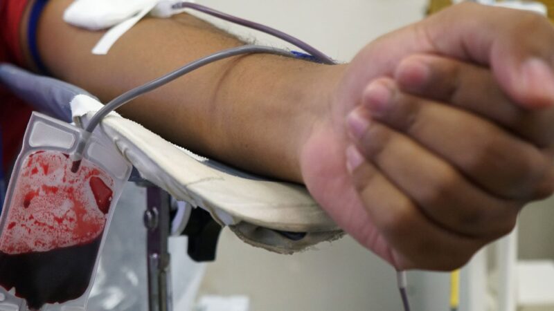 Hoje é o Dia Mundial do Doador de sangue