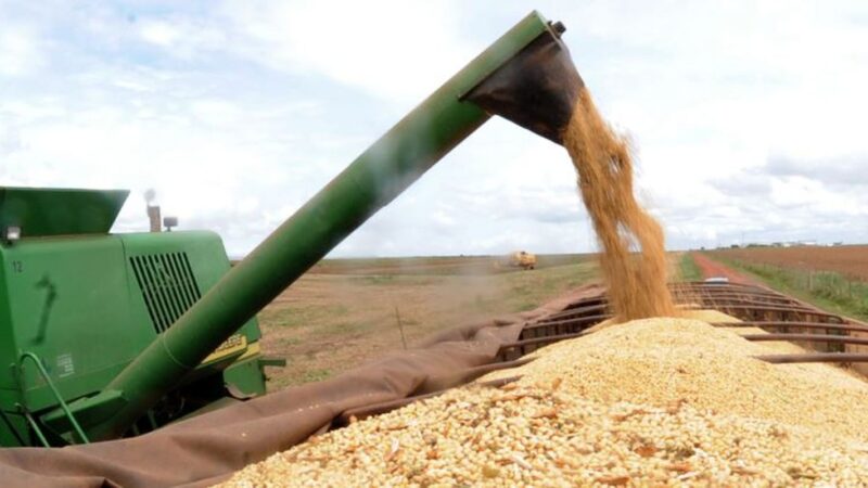 Feira agropecuária Pecnordeste começa hoje (5) em Fortaleza