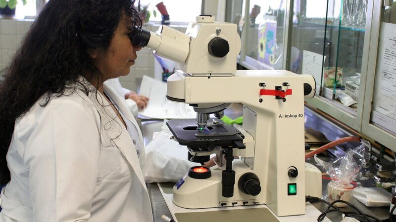 Prêmio vai premiar alunas e professoras da área de ciências exatas