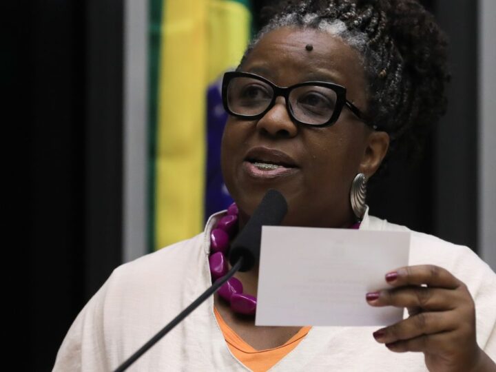 Direitos Humanos: Ministra Macaé Evaristo pede fim dos ataques a Gaza